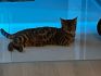 Morgowe Wzg�rze*pl