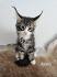 Marcelcat*pl