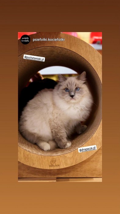 Benjamin Puchate Mi�ki *PL
