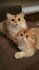 Mama i c�rka BLH ny11