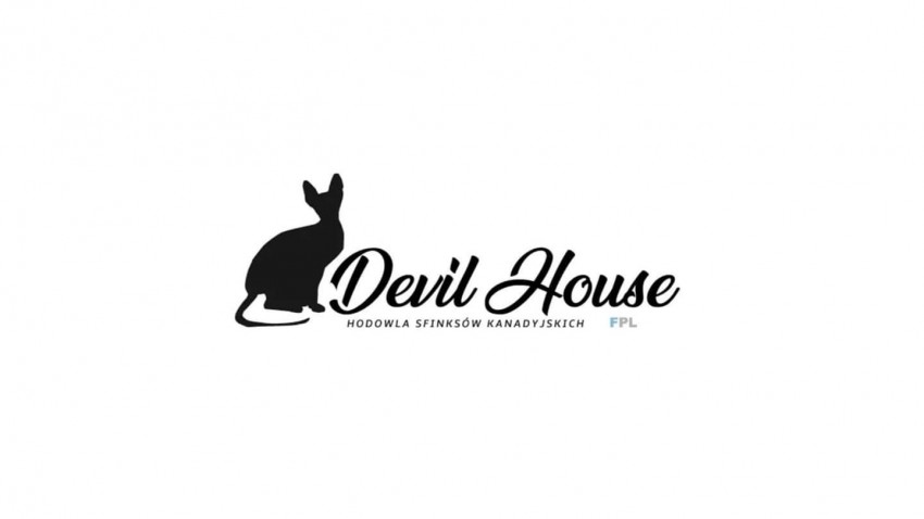 Hodowla sfinks�w kanadyjskich Devil House*PL
