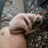 Le�ne Enty*PL