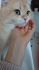 Guess De Fetura*pl