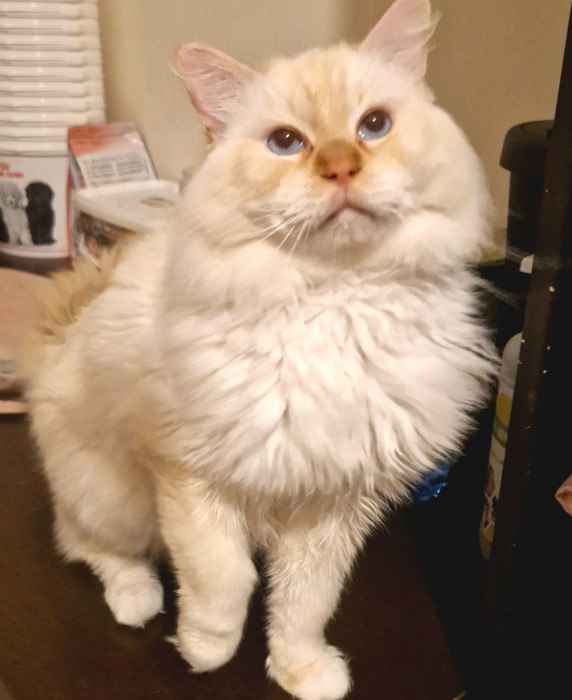 Filemon
